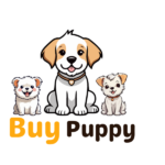 Admin Learnership opportunity at Buypuppy 2 buypuppy learnership