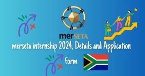 Read more about the article merseta internship 2024, Details and  Application form