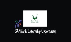 Read more about the article SANParks Internship Opportunity