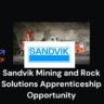 Sandvik Mining and Rock Solutions Apprenticeship Opportunity 3 Sandvik Mining and Rock Solutions Apprenticeship Opportunity