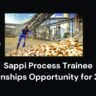 Sappi Process Trainee Internships Opportunity for 2024 2 Sappi Process Trainee Internships Opportunity for 2024