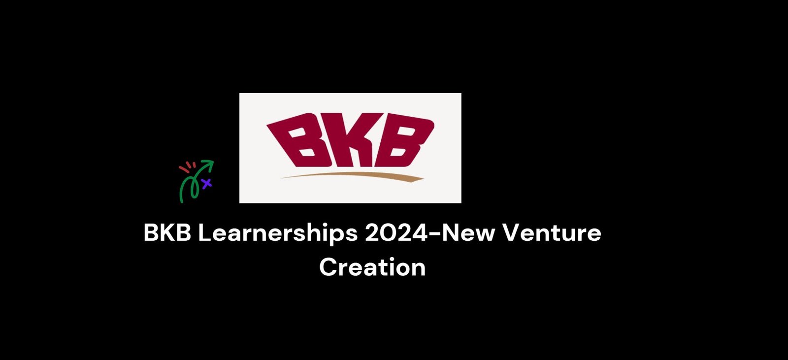 Read more about the article BKB Learnerships 2024-New Venture Creation