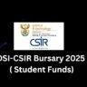 DSI-CSIR Bursary 2025 ( Student Funds) 2 DSI-CSIR Bursary 2025 ( Student Funds)