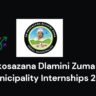 Dr Nkosazana Dlamini Zuma Local Municipality Internships 2025 3 Dr Nkosazana Dlamini Zuma Local Municipality Internships 2025
