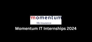 Read more about the article Momentum IT Internships 2024