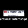 Momentum IT Internships 2024 3 Momentum IT Internships 2024