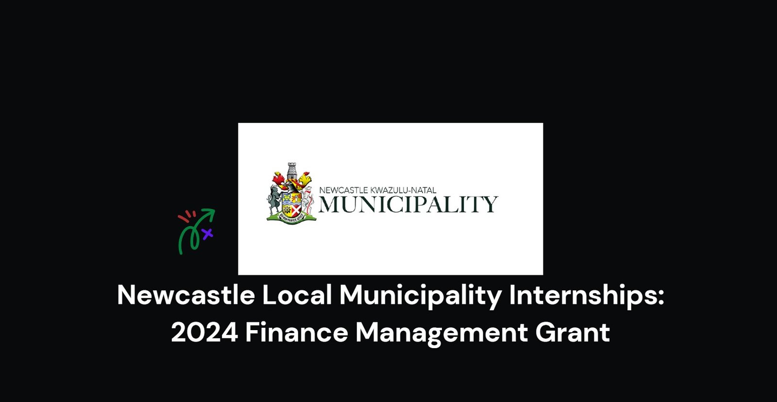 Read more about the article Newcastle Local Municipality Internships: 2024 Finance Management Grant