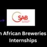 South African Breweries (SAB) Apprenticeship 3 South African Breweries (SAB) Internships