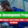 Artisan Development Programme Apprenticeships 3 Artisan Development Programme